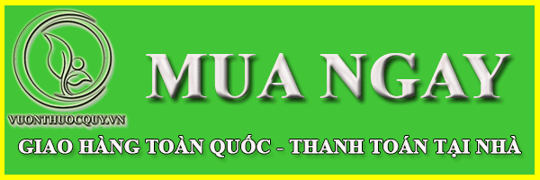 Đặt Hàng