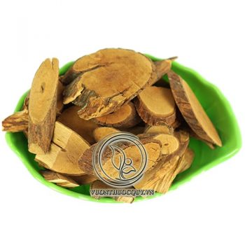 Cây Mú Từn