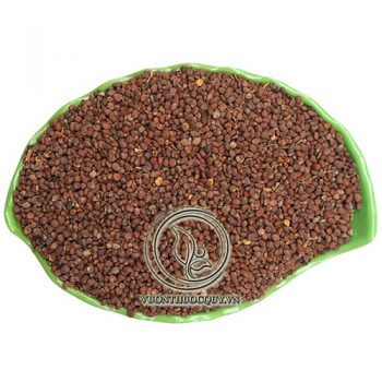 La Bặc Tử