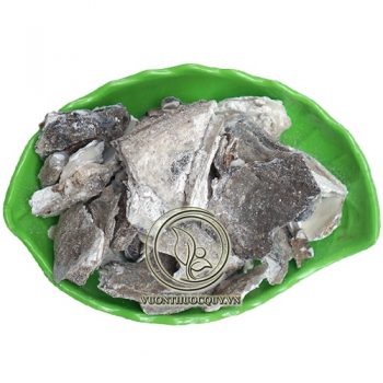 Mẫu Lệ
