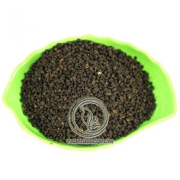 Phá Cố Chỉ