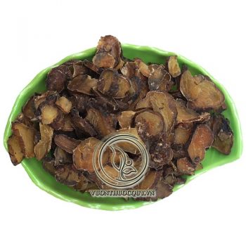 Phụ Tử