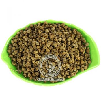 Phúc Bồn Tử