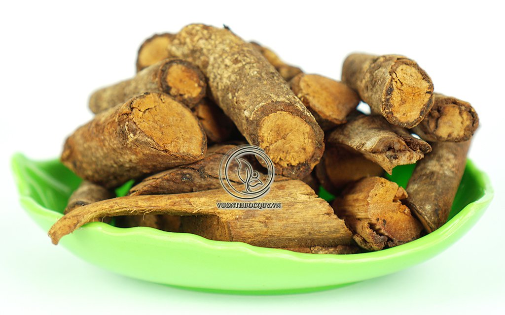 Cây Tơm Trơng Vị Thuốc Quý Cho Người Bị Gout