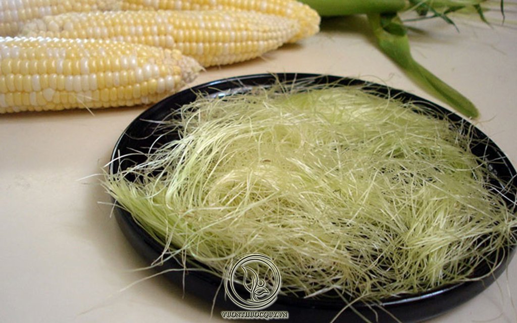 Công Dụng Và Cách Dùng Của Râu Ngô