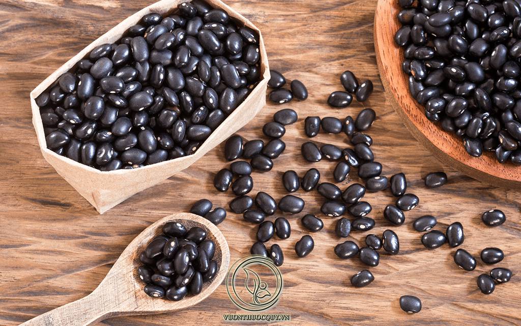 Đỗ Đen Kết Hợp Với Cỏ Mực