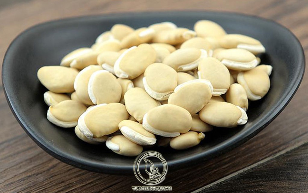Hạt Bạch Biển Đậu