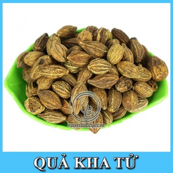 Quả Kha Tử