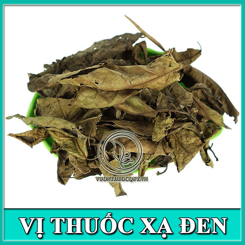 Vị Thuốc Xạ Đen