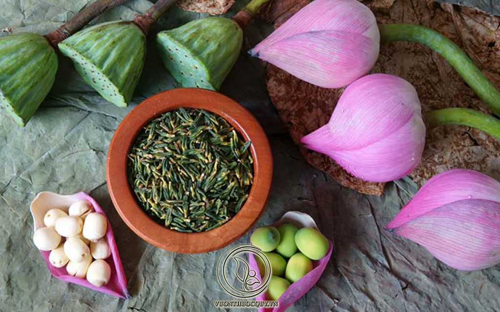 Cách Dùng Trà Tâm Sen