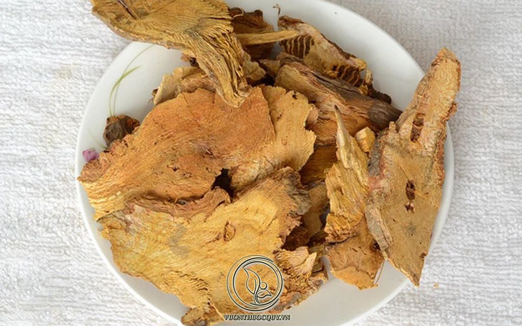 Hà Thủ Ô Vị Thuốc Quý Trong Đông Y