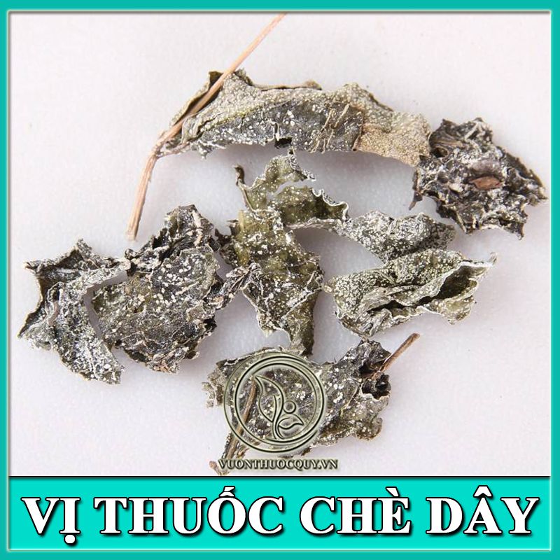 Vị Thuốc Chè Dây