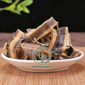Địa Long Khô
