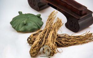 Đương Quy Và Những Điều Cần Biết
