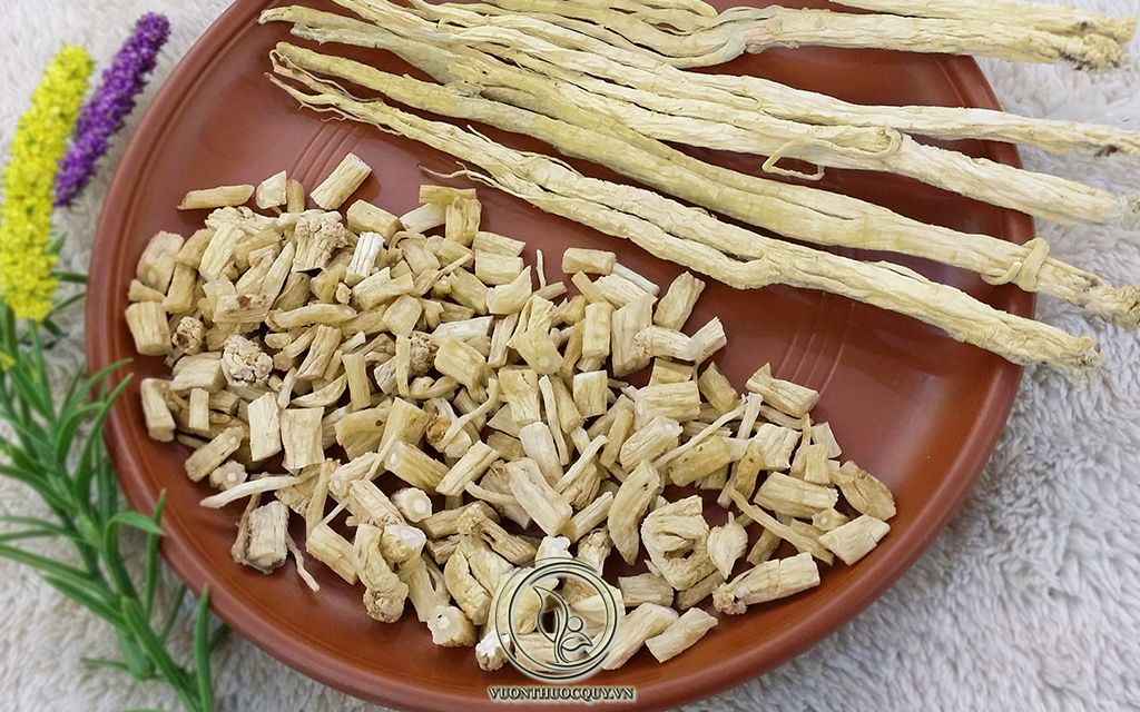 Tác Dụng Và Cách Dùng Đẳng Sâm