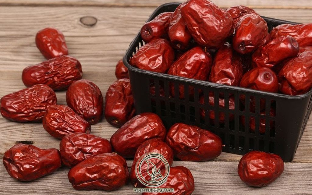 Táo Tàu Đỏ Và Những Điều Cần Biết