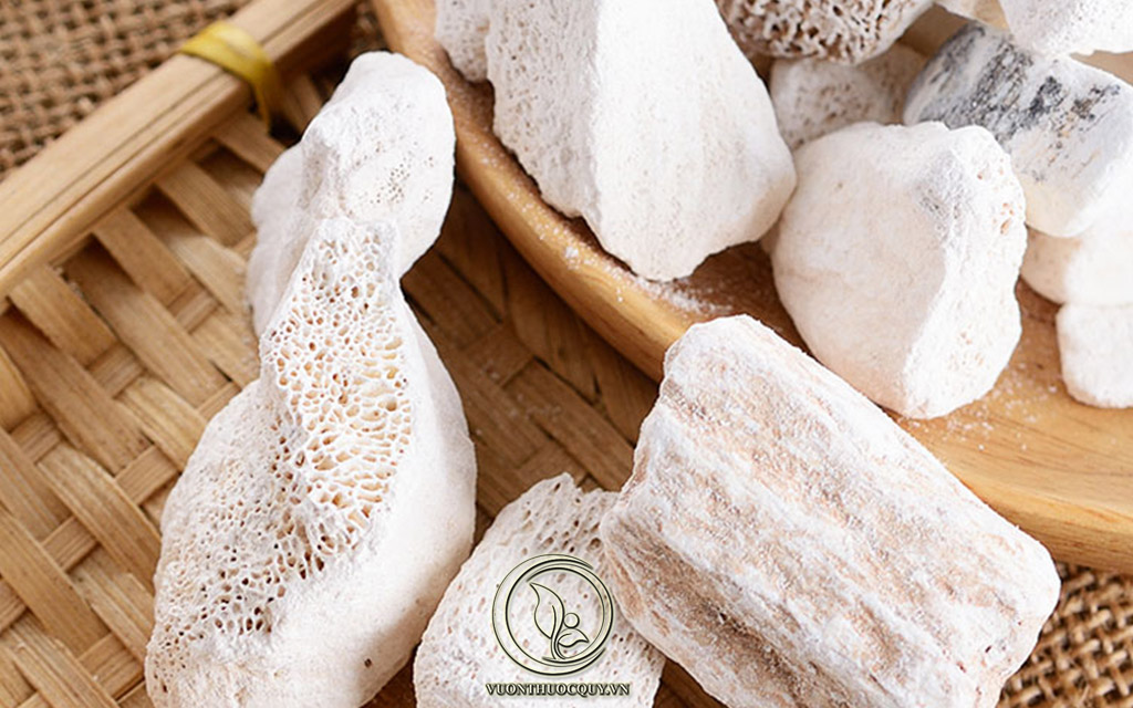 Hình Ảnh Dược Liệu Long Cốt