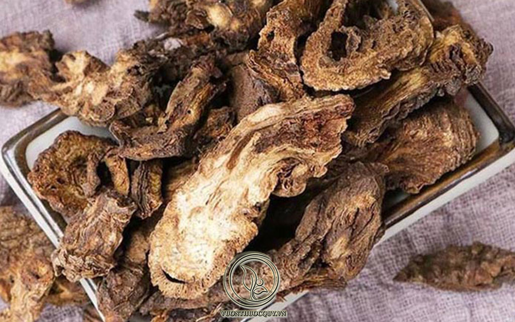 Hình Ảnh Dược Liệu Khương Hoạt