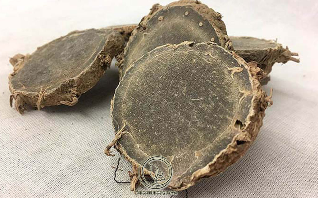Hình Ảnh Dược Liệu Nghệ Đen