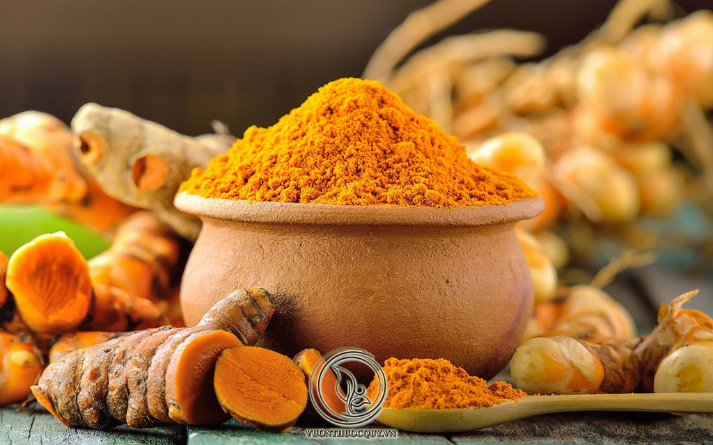 Hình Ảnh Dược Liệu Nghệ Vàng