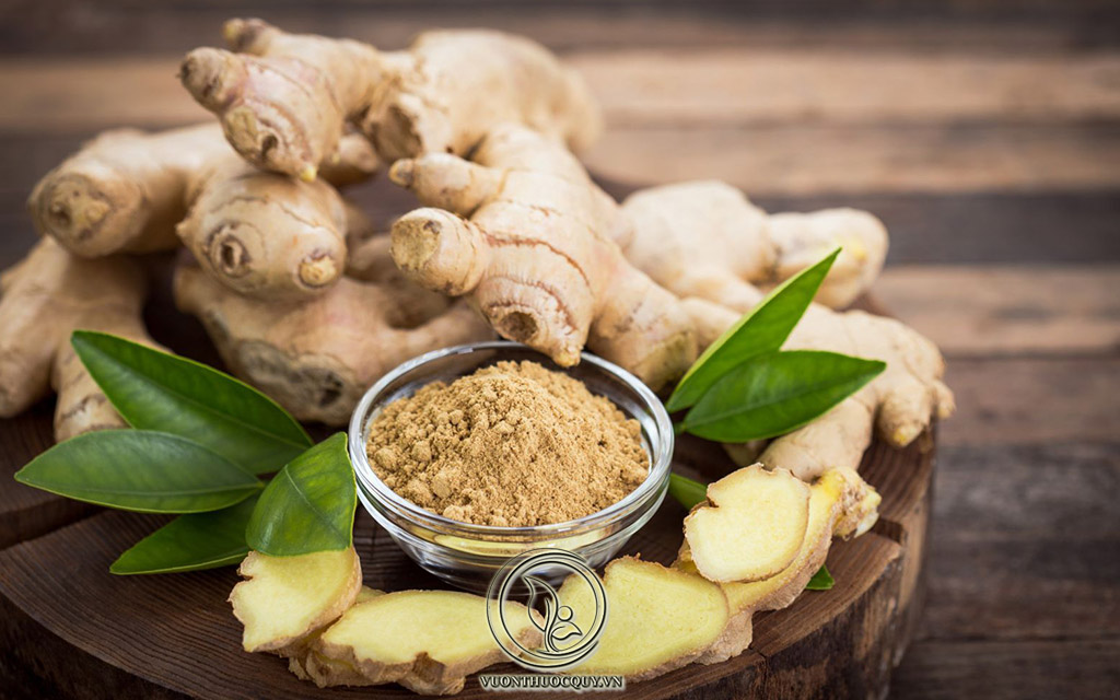 Cách Dùng Bột Gừng Để Giảm Cân