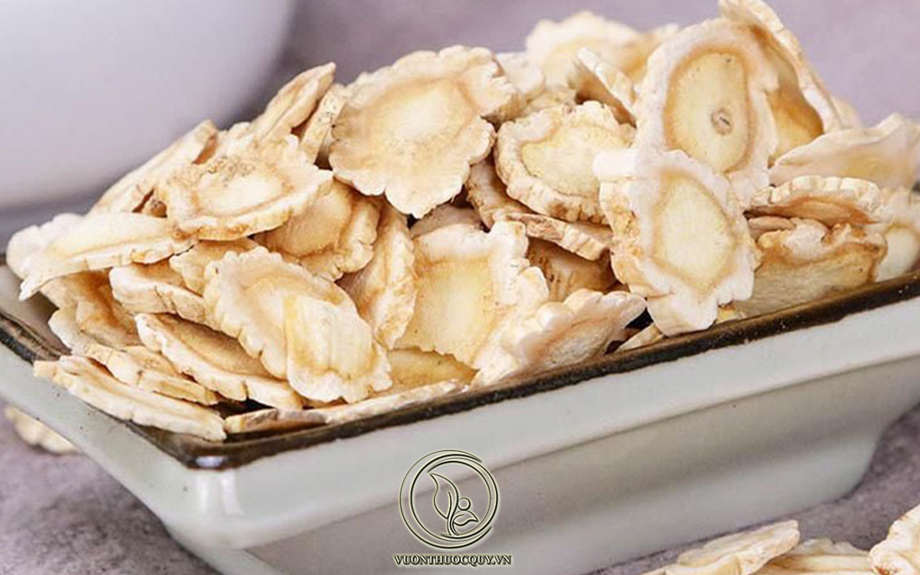 Hình Ảnh Dược Liệu Cát Cánh