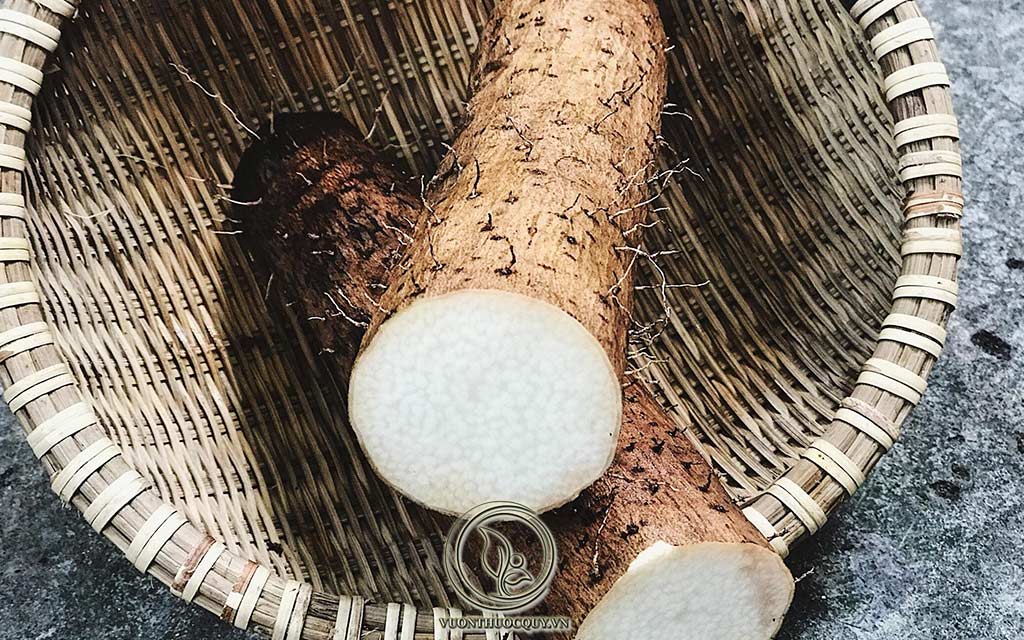 Những Bài Thuốc Hay Từ Hoài Sơn