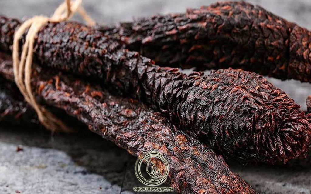 Hình Ảnh Vị Thuốc Nhục Thung Dung