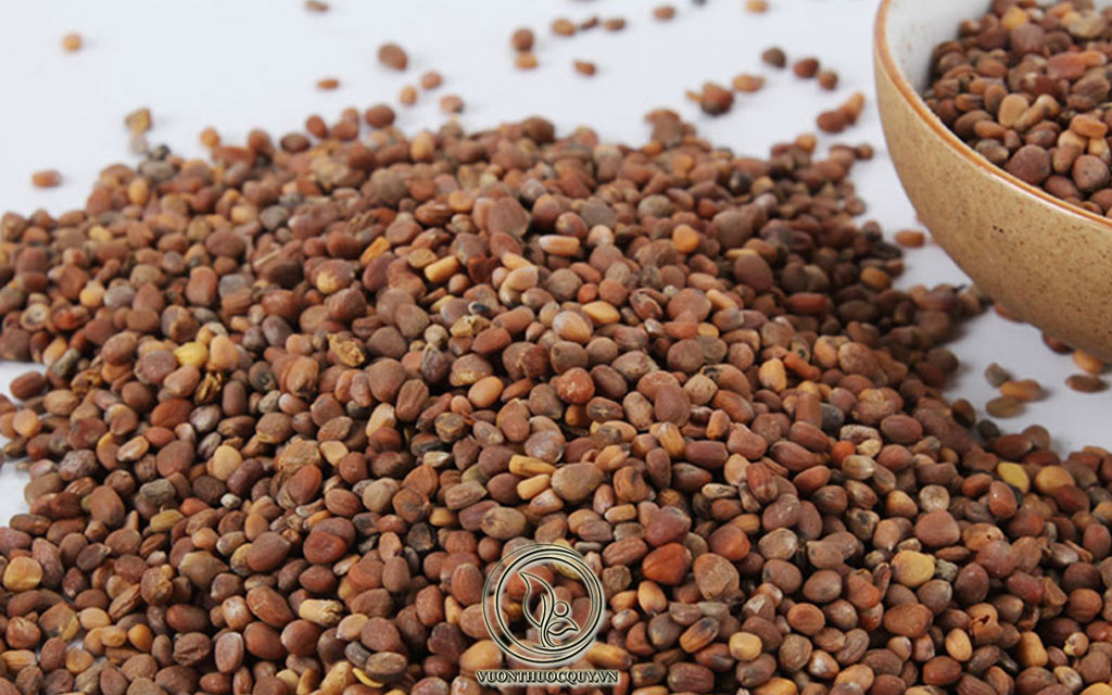 Những Cách Dùng La Bặc Tử