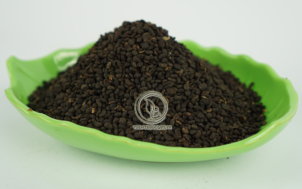 Phá Cố Chỉ Chữa Di Tinh