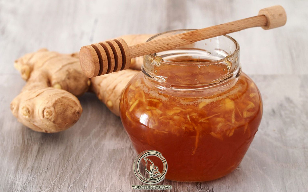 Lợi Ích Khi Kết Hợp Gừng Và Mật Ong