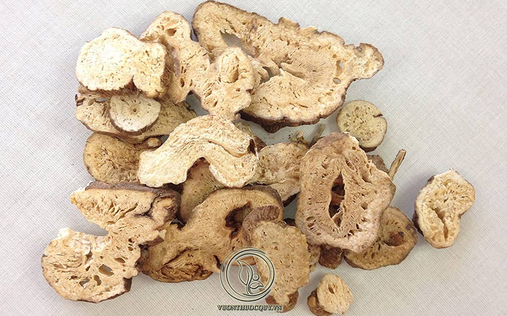 Tác Dụng Chữa Bệnh Của Bạch Truật