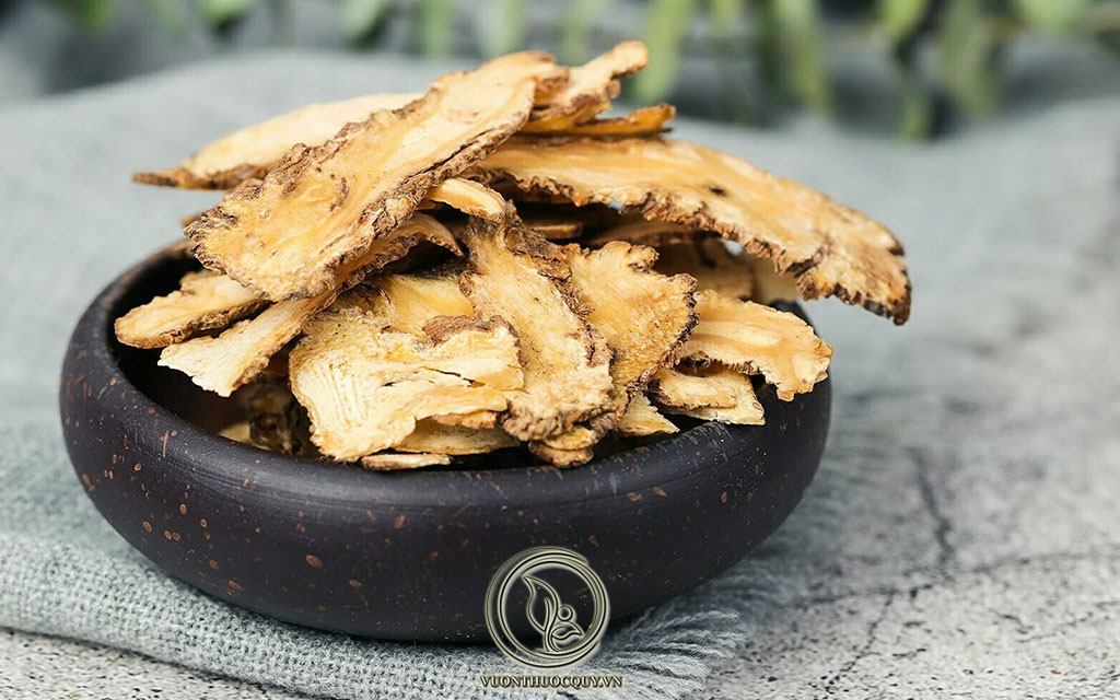 Tác Dụng Của Bột Đương Quy