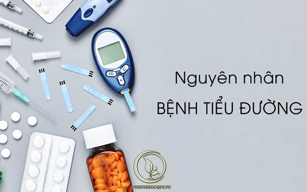 Hình Ảnh Những Nguyên Nhân Gây Ra Bệnh Tiểu Đường
