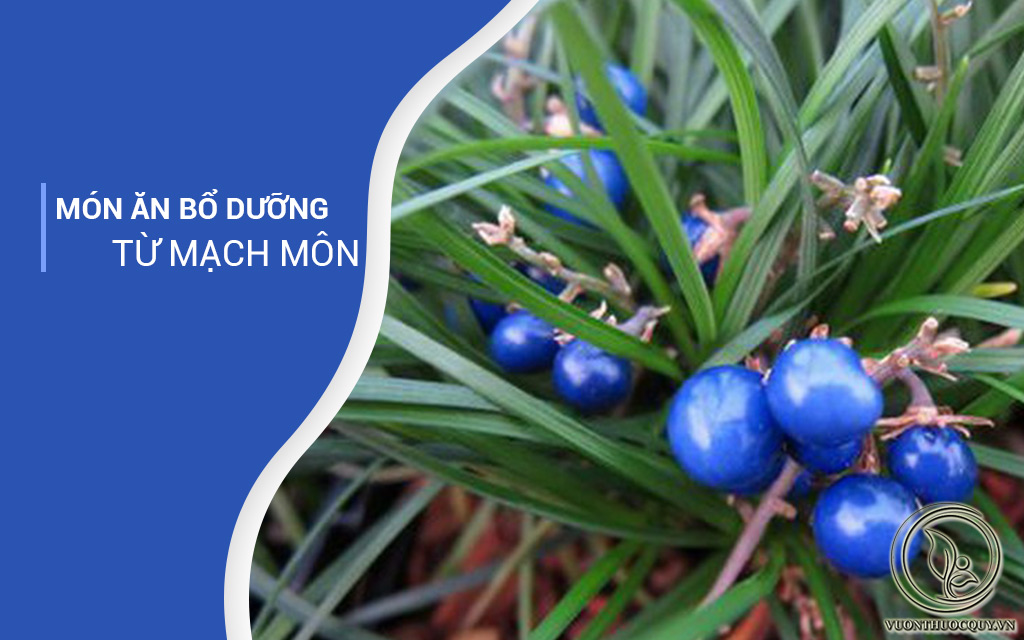 Món Ăn Bổ Dưỡng Từ Mạch Môn