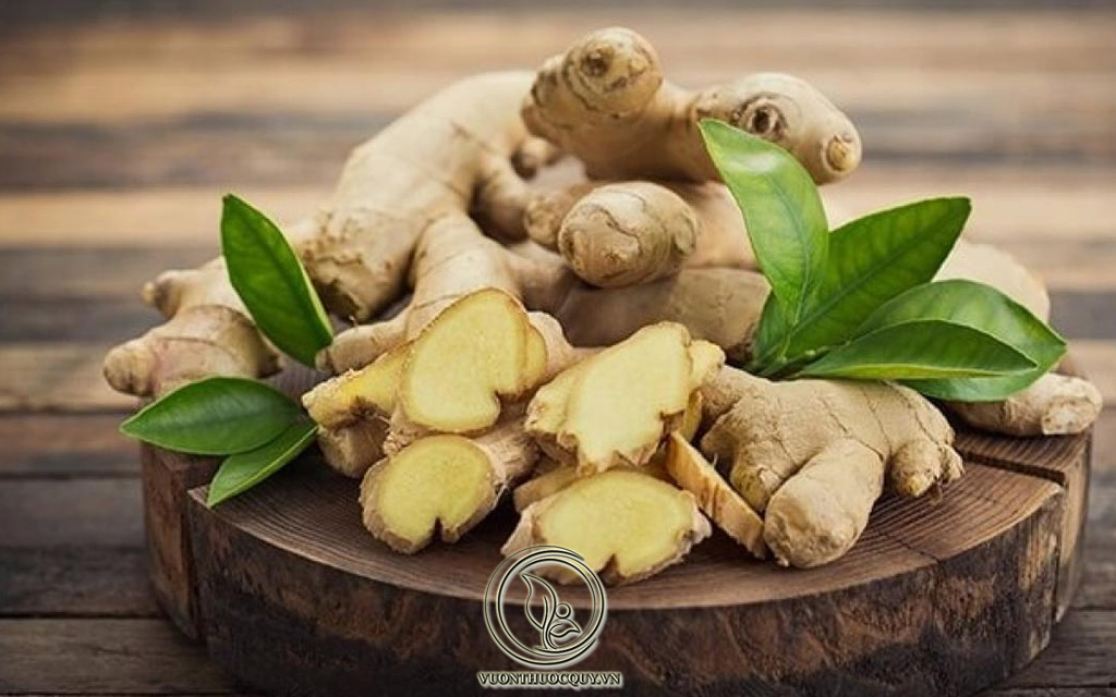 Công Dụng Của Gừng Với Chứng Yếu Sinh Lý