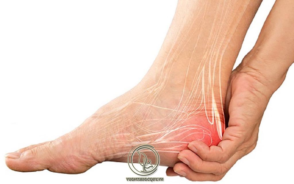 Bệnh Đau Gót Chân Ở Người Già
