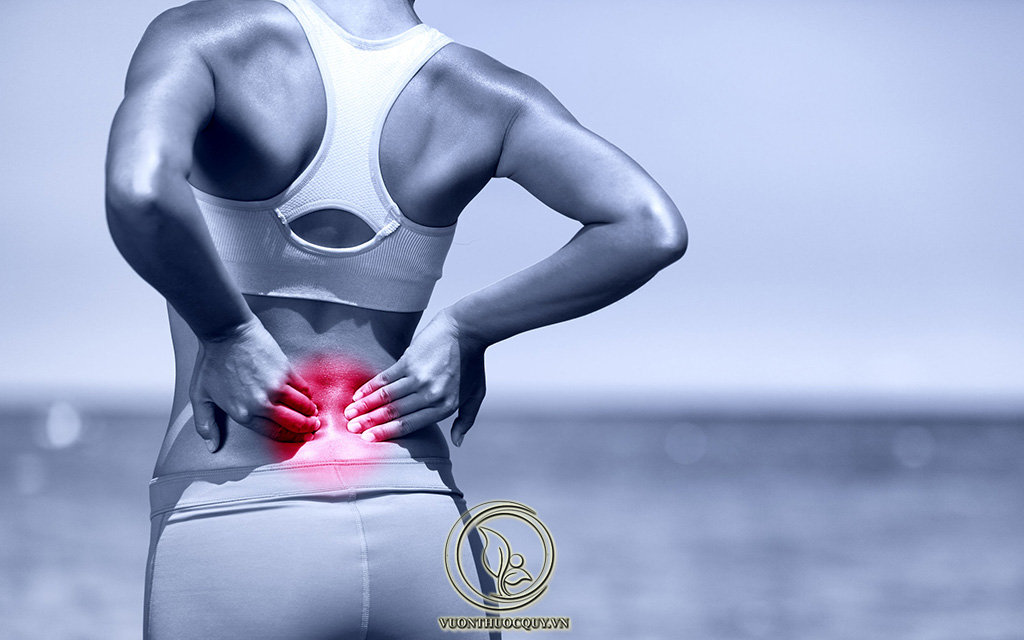 Dấu Hiệu Nhận Biết Rách Đĩa Đệm