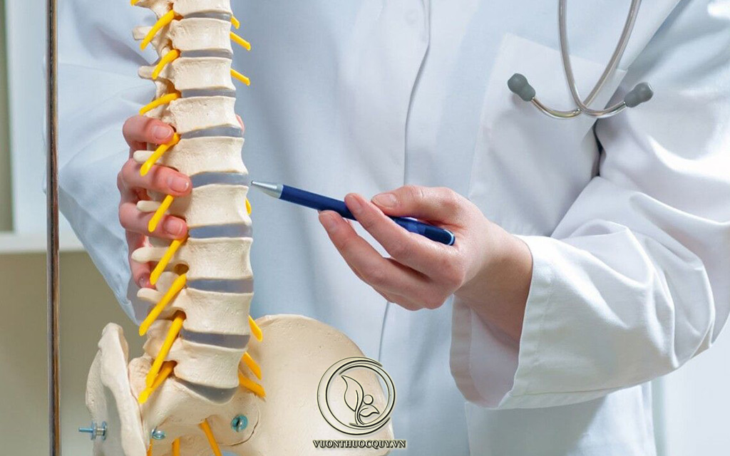Gai Đôi Cột Sống L5 Là Gì ?