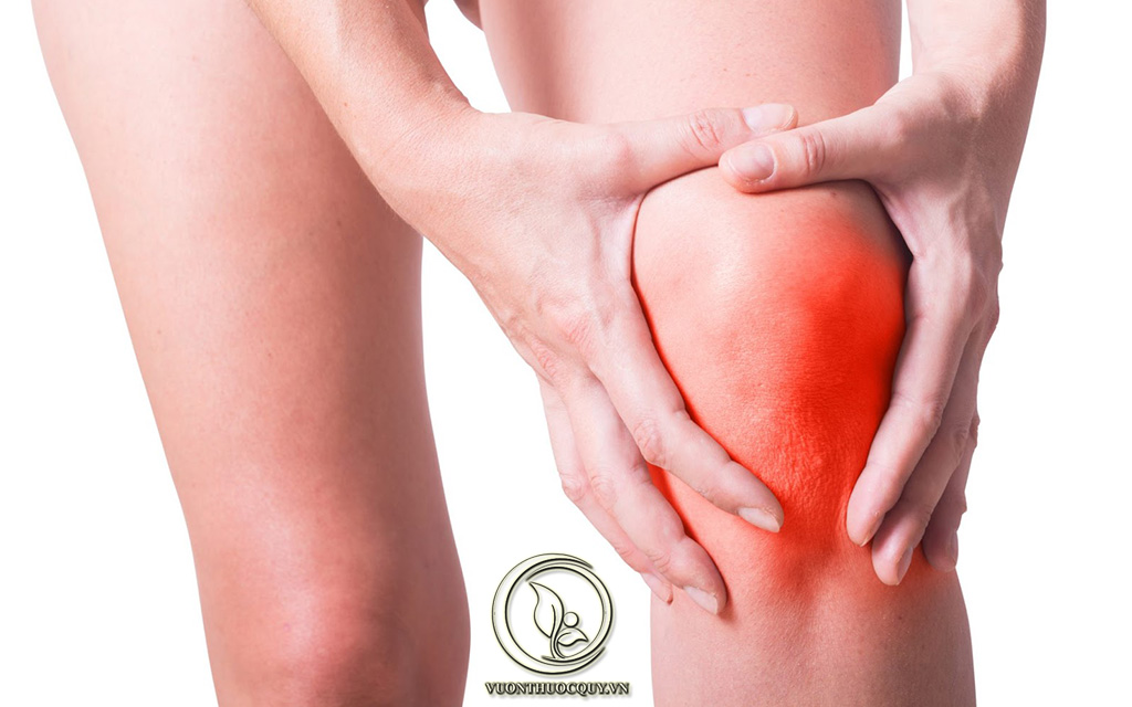 Tìm Hiểu Về Bệnh Gai Xương Khớp Gối