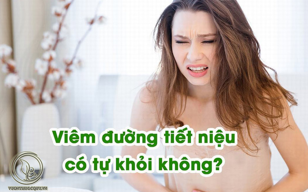 Bệnh Viêm Niệu Đạo Có Tự Khỏi Không ?