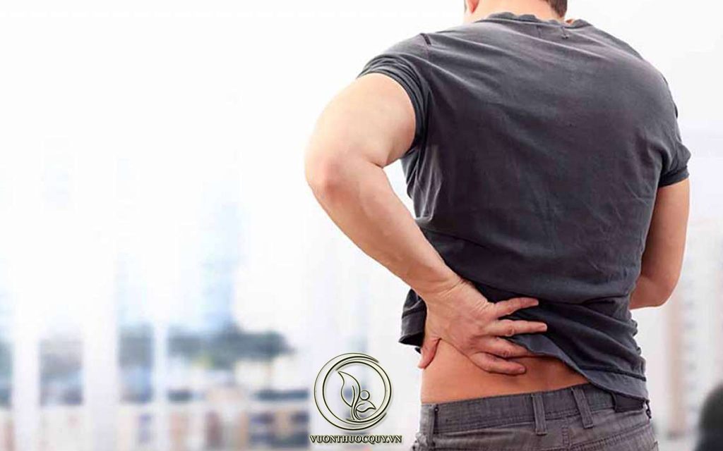 Nguyên Nhân Gây Ung Thư Niệu Quản