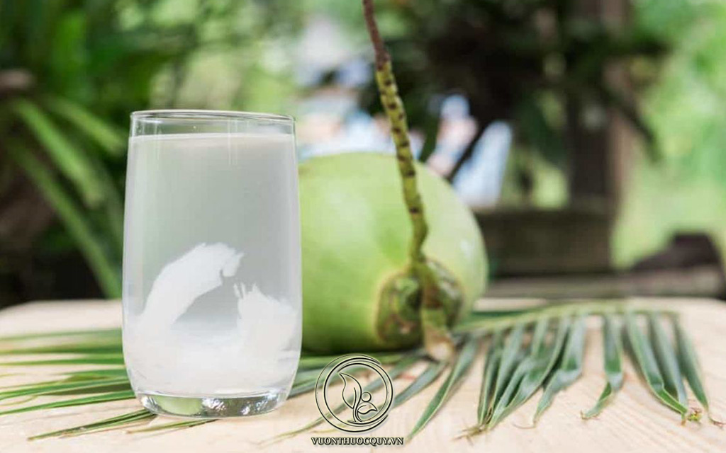 Cách Chữa Sỏi Thận Bằng Nước Dừa