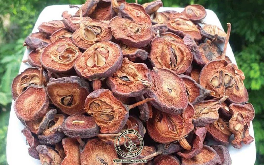 Sơn Tra Giúp Hạ Mỡ Máu