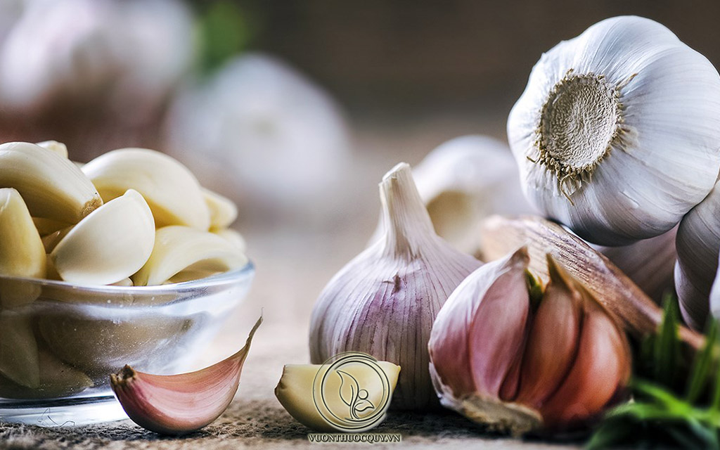 Cách Chữa Bệnh Tổ Đỉa Bằng Tỏi