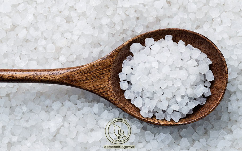 Cách Chữa Bệnh Tổ Đỉa Bằng Muối