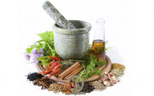 Cách Chữa Tổ Đỉa Bằng Thuốc Nam