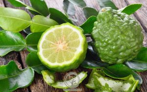 Những Lưu Ý Khi Dùng Chỉ Thực