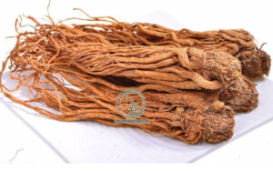 Cách Dùng Đương Quy Chữa Bệnh