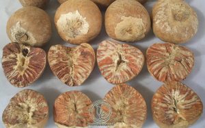 Cách Dùng Hạt Cau Chữa Bệnh